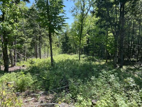 M4 L36 Old Union Road Washington ME 04574