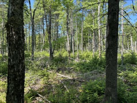 M4 L36 Old Union Road Washington ME 04574