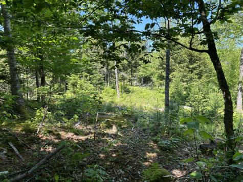 M4 L36 Old Union Road Washington ME 04574