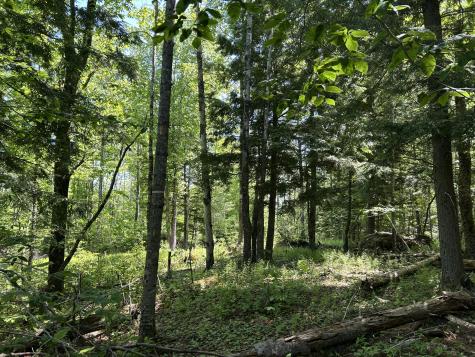 M4 L36 Old Union Road Washington ME 04574