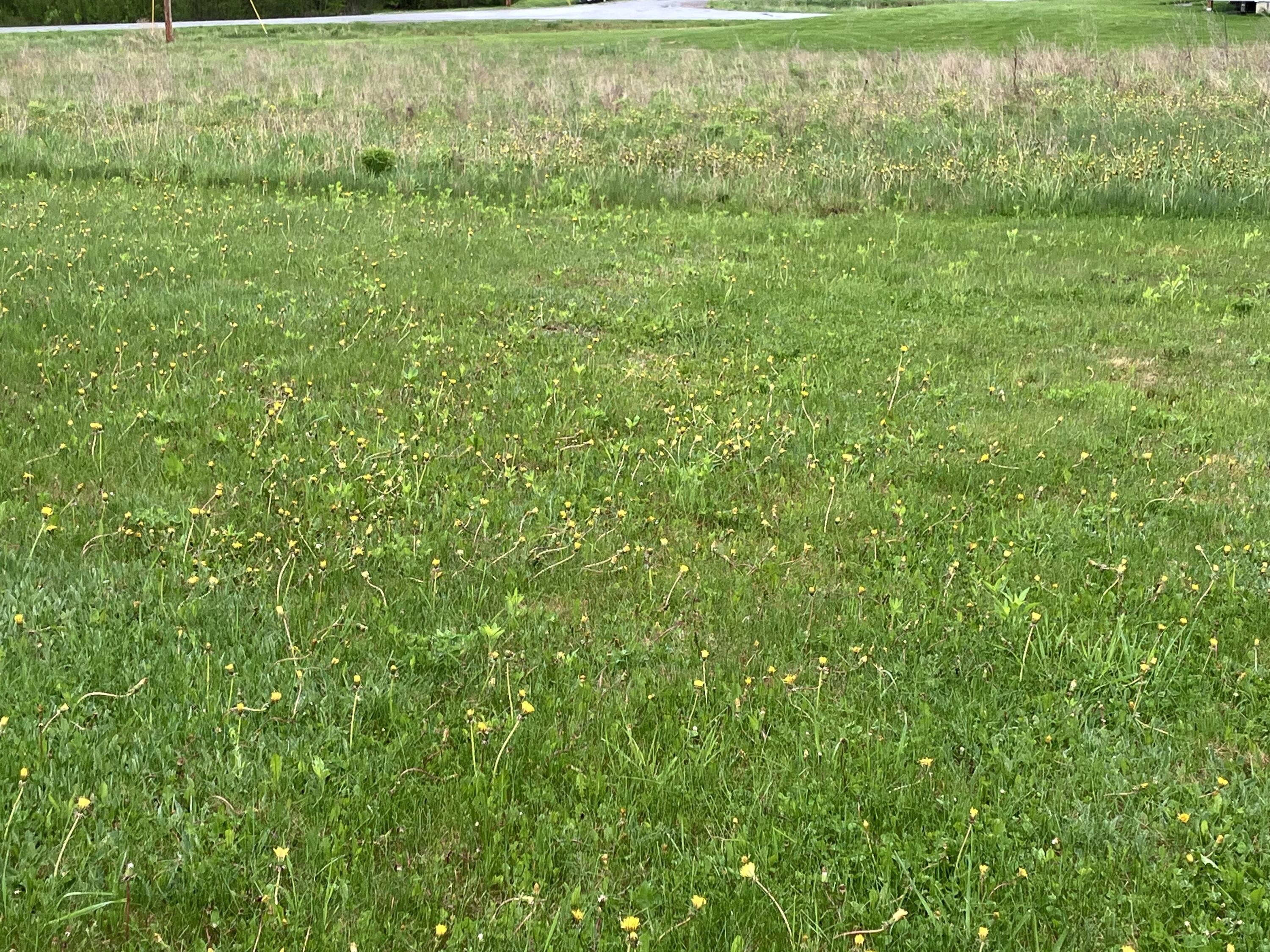 209 Edenfield Drive Hermon ME 04401