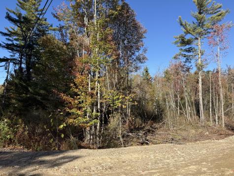 Lot B & C Cape Road Limington ME 04049