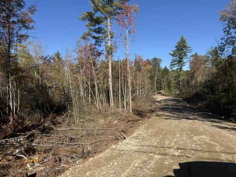 Lot B & C Cape Road Limington ME 04049