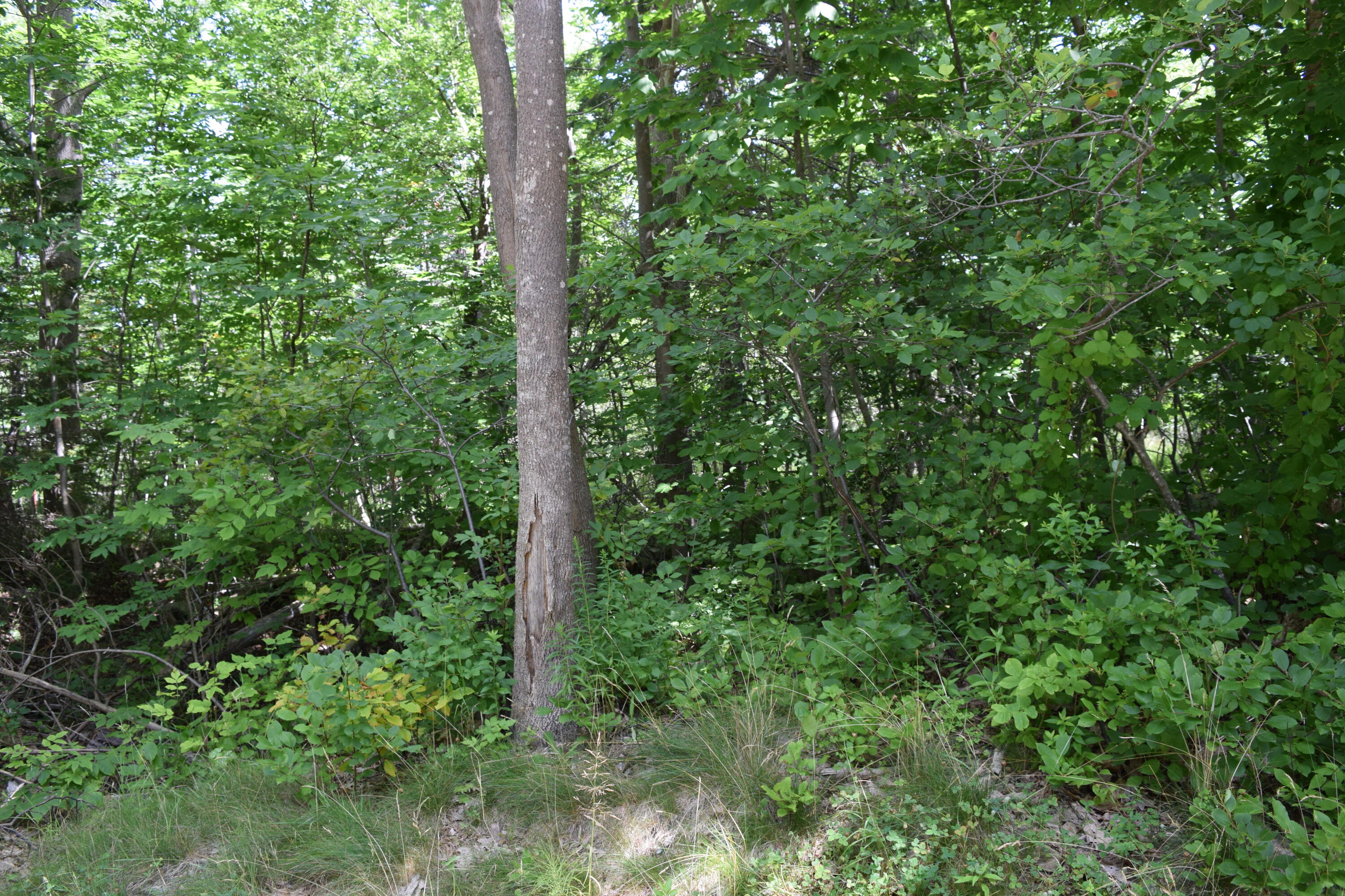 00 Lamoine Beach Road Lamoine ME 04605