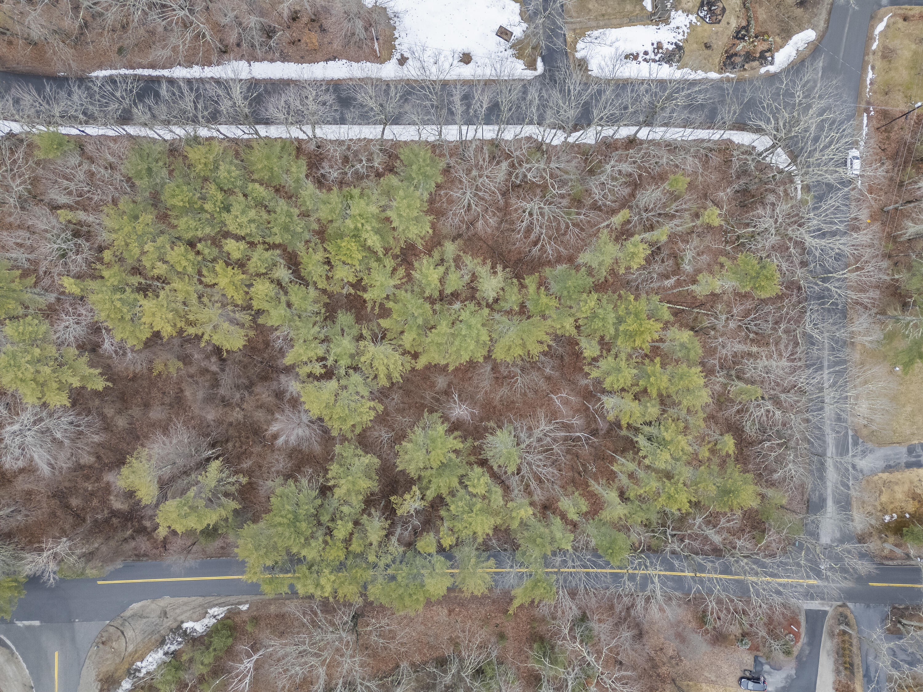 297-2 Loop Road Wells ME 04090