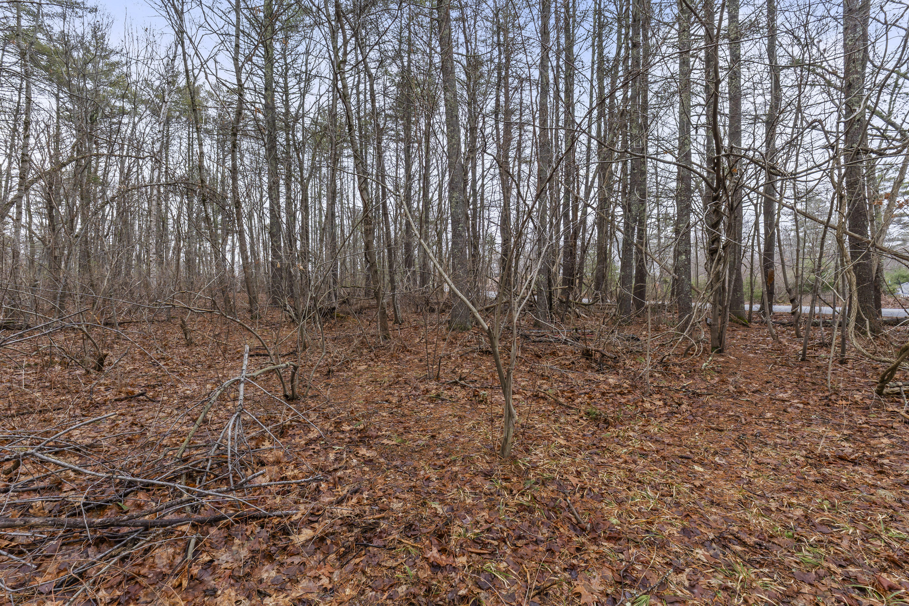 297-2 Loop Road Wells ME 04090