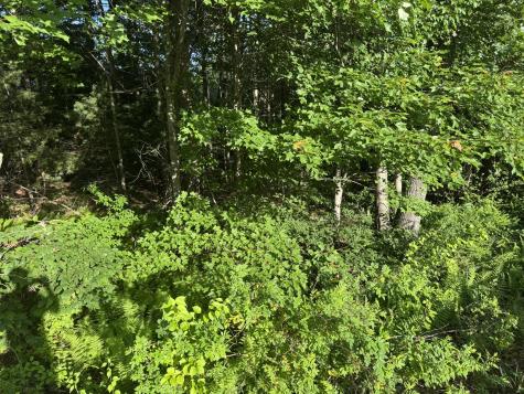 Lot 8e Country Club Road Sanford ME 04073