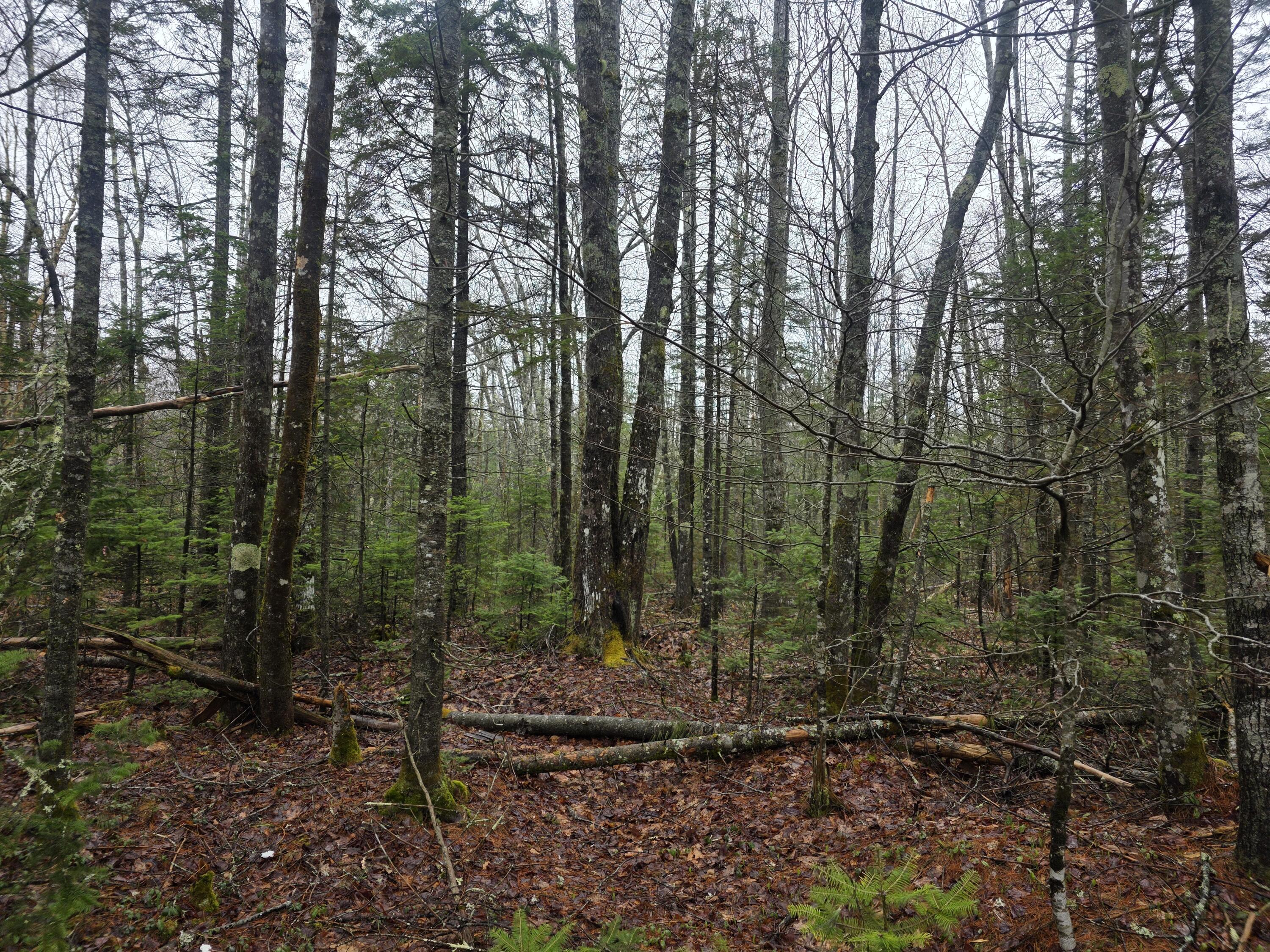 00 Mount Ephraim Road Searsport ME 04974