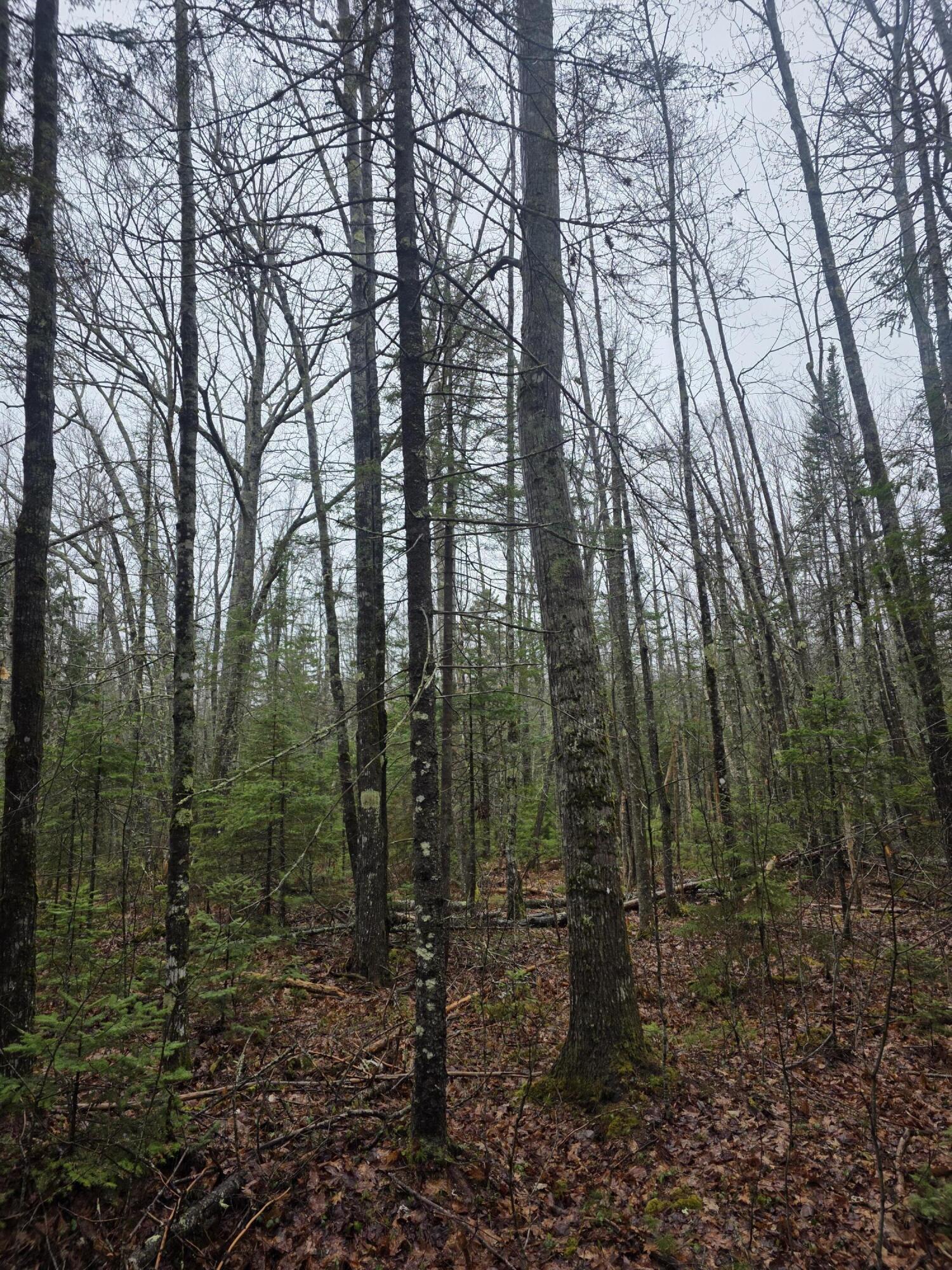 00 Mount Ephraim Road Searsport ME 04974