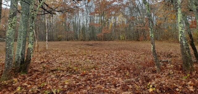 Lot 7 Cheri Lane Northport ME 04849