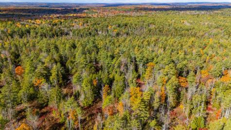Lot 15&40 Gibbs Road Wiscasset ME 04578