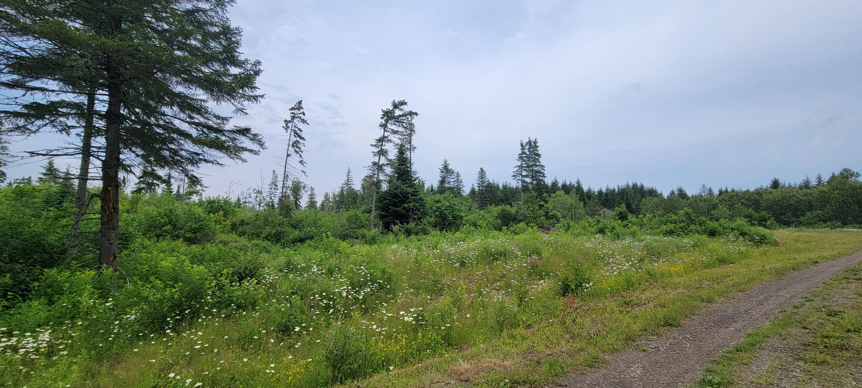 M23 L32 Madawaska ME 04756