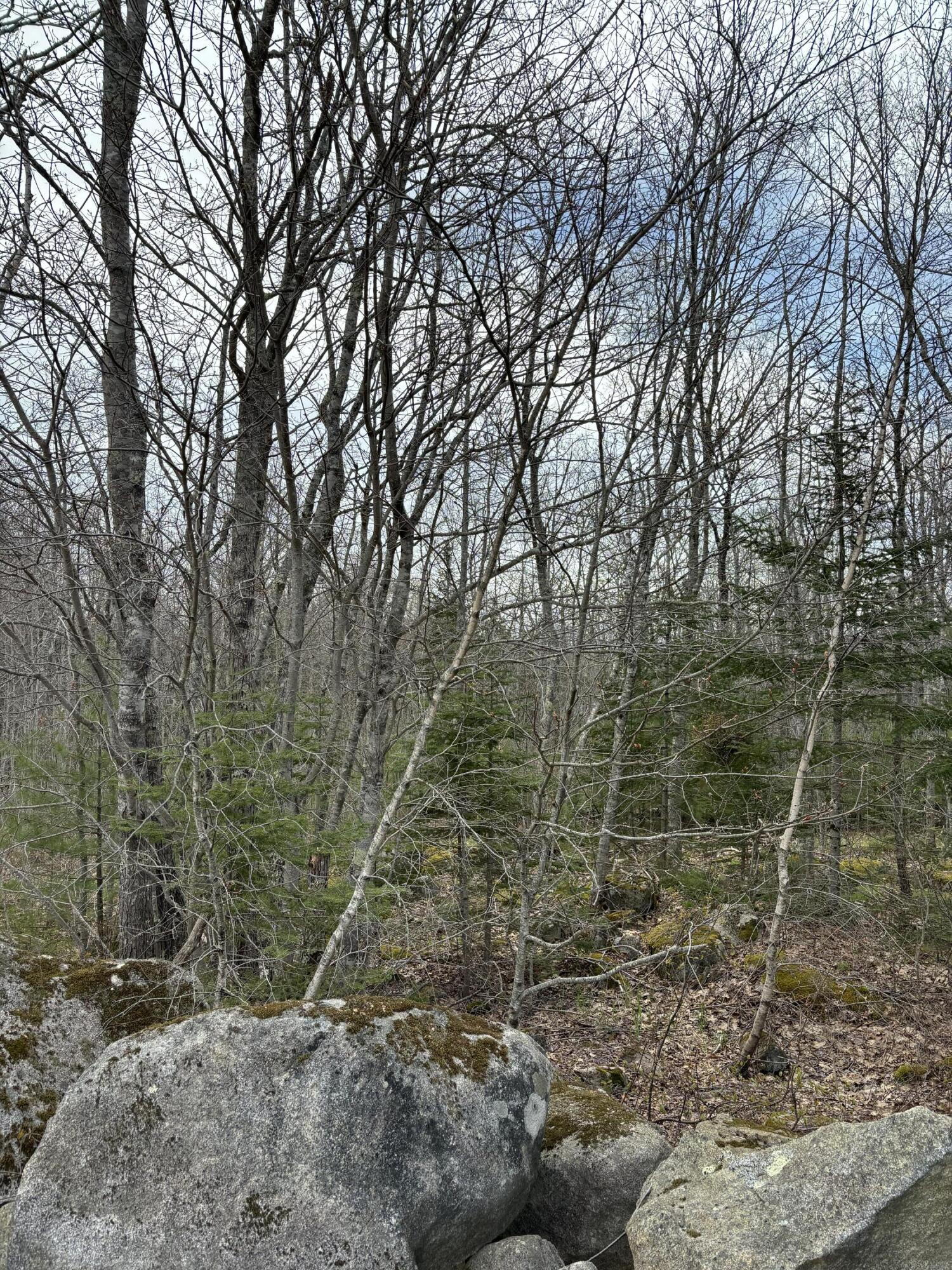 Lots 8 & 9 Aspen Drive South Thomaston ME 04858