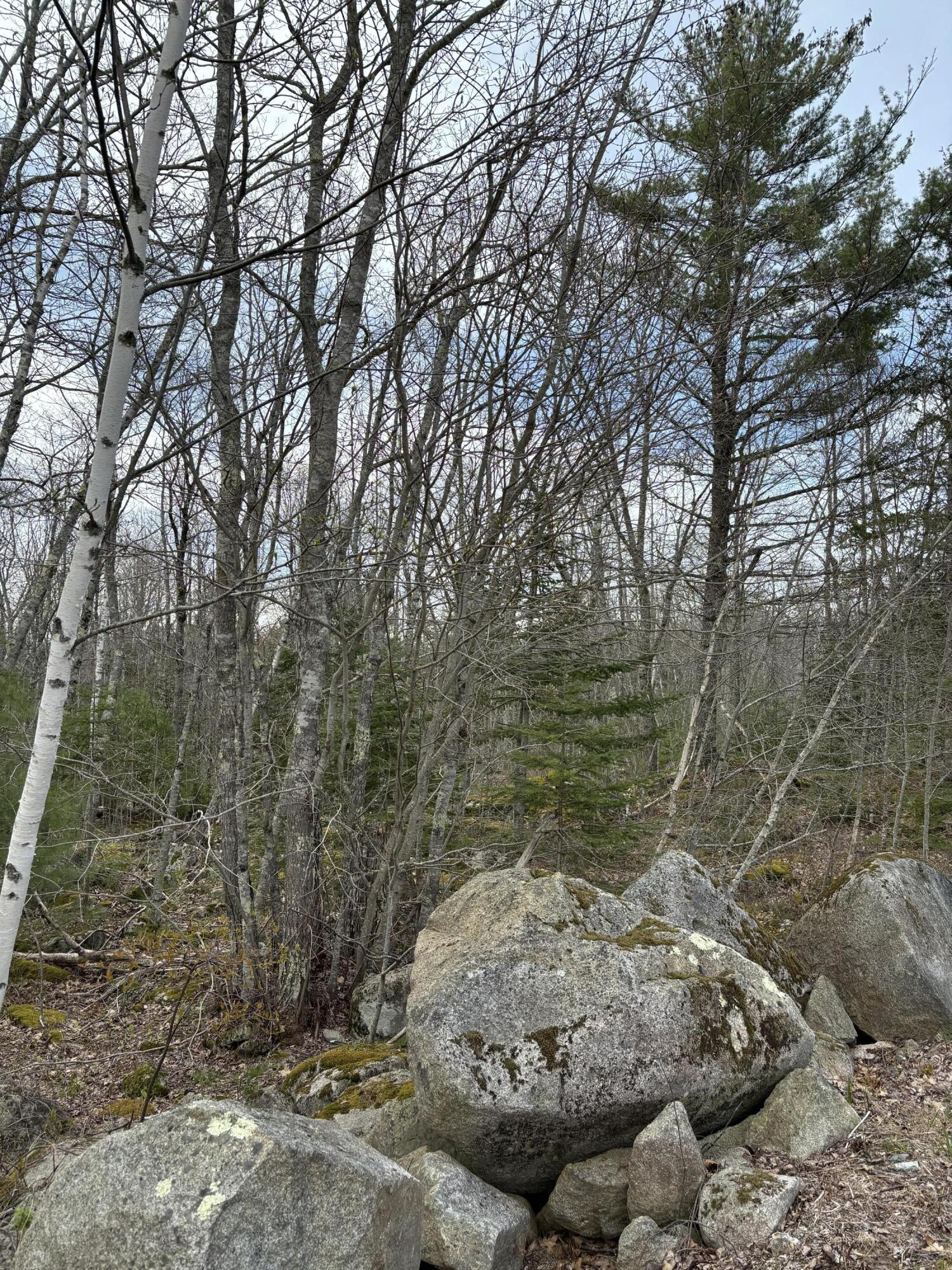 Lots 8 & 9 Aspen Drive South Thomaston ME 04858