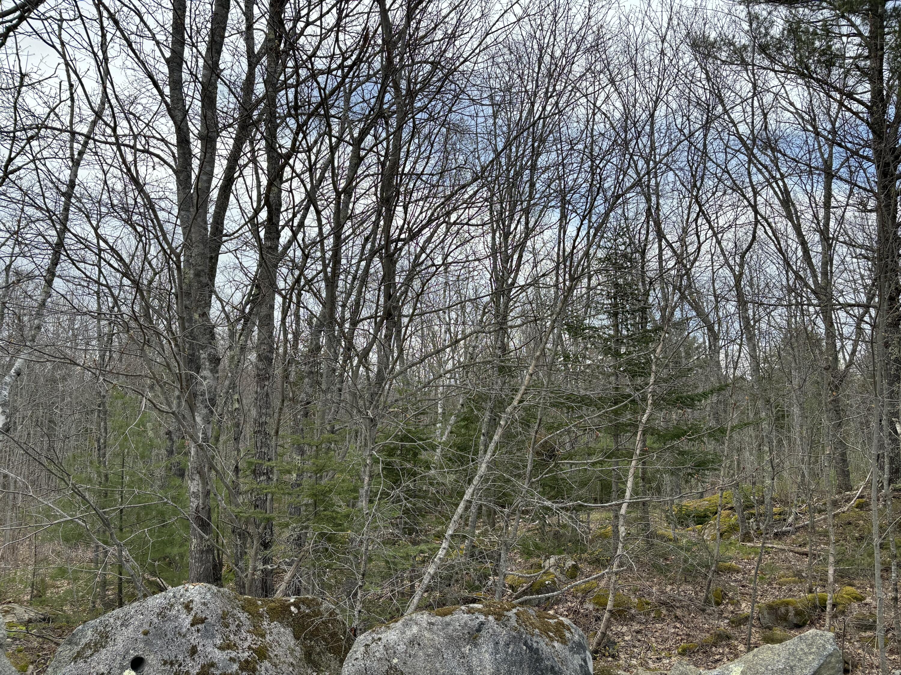 Lots 8 & 9 Aspen Drive South Thomaston ME 04858