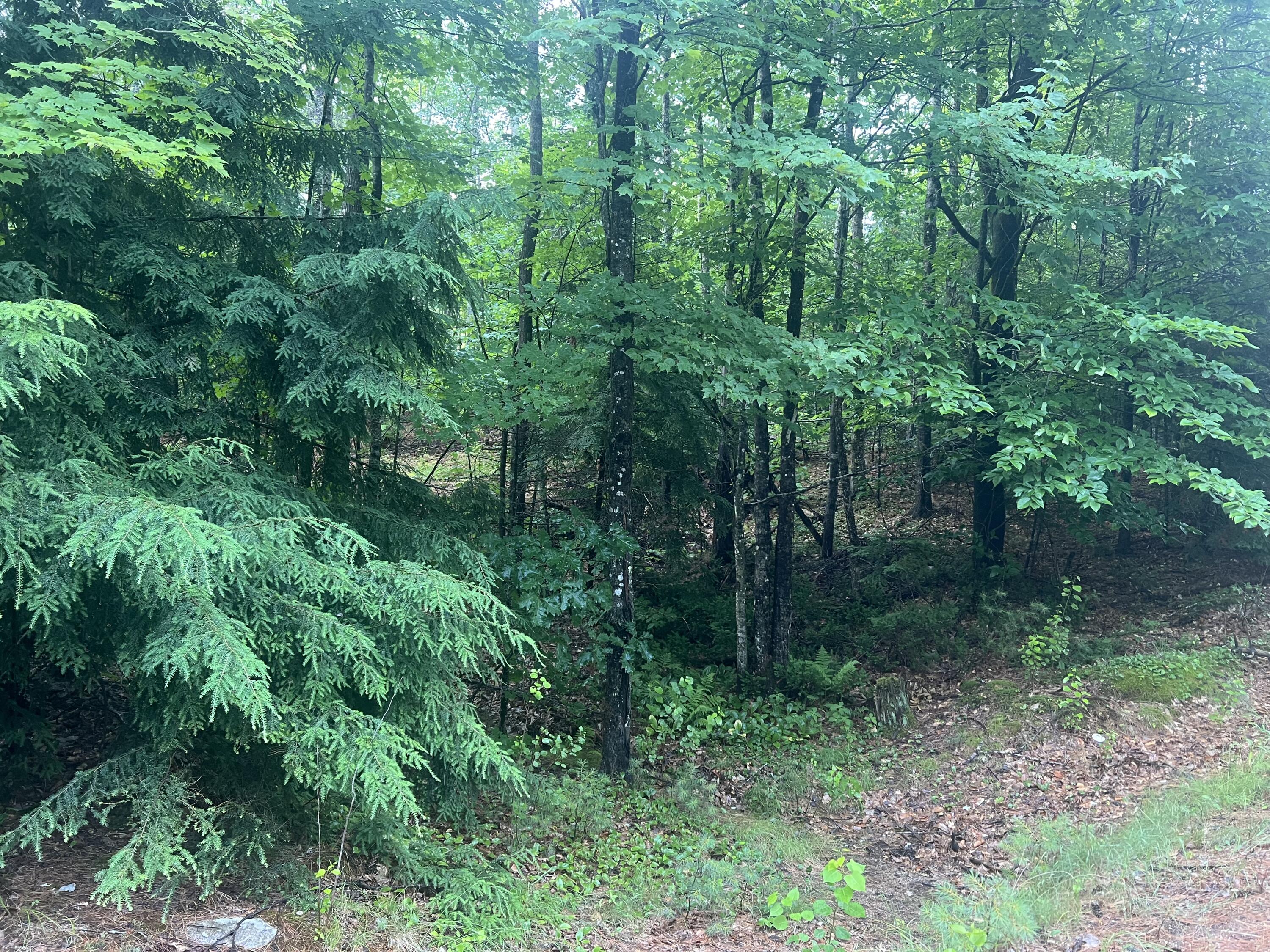 Lot #1 Intervale Road Bethel ME 04217