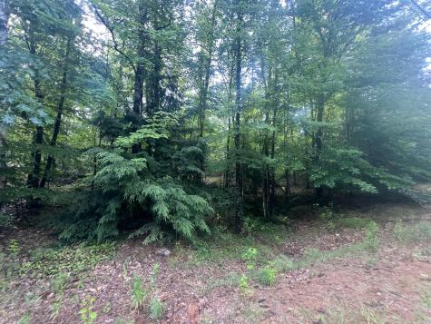 Lot #1 Intervale Road Bethel ME 04217