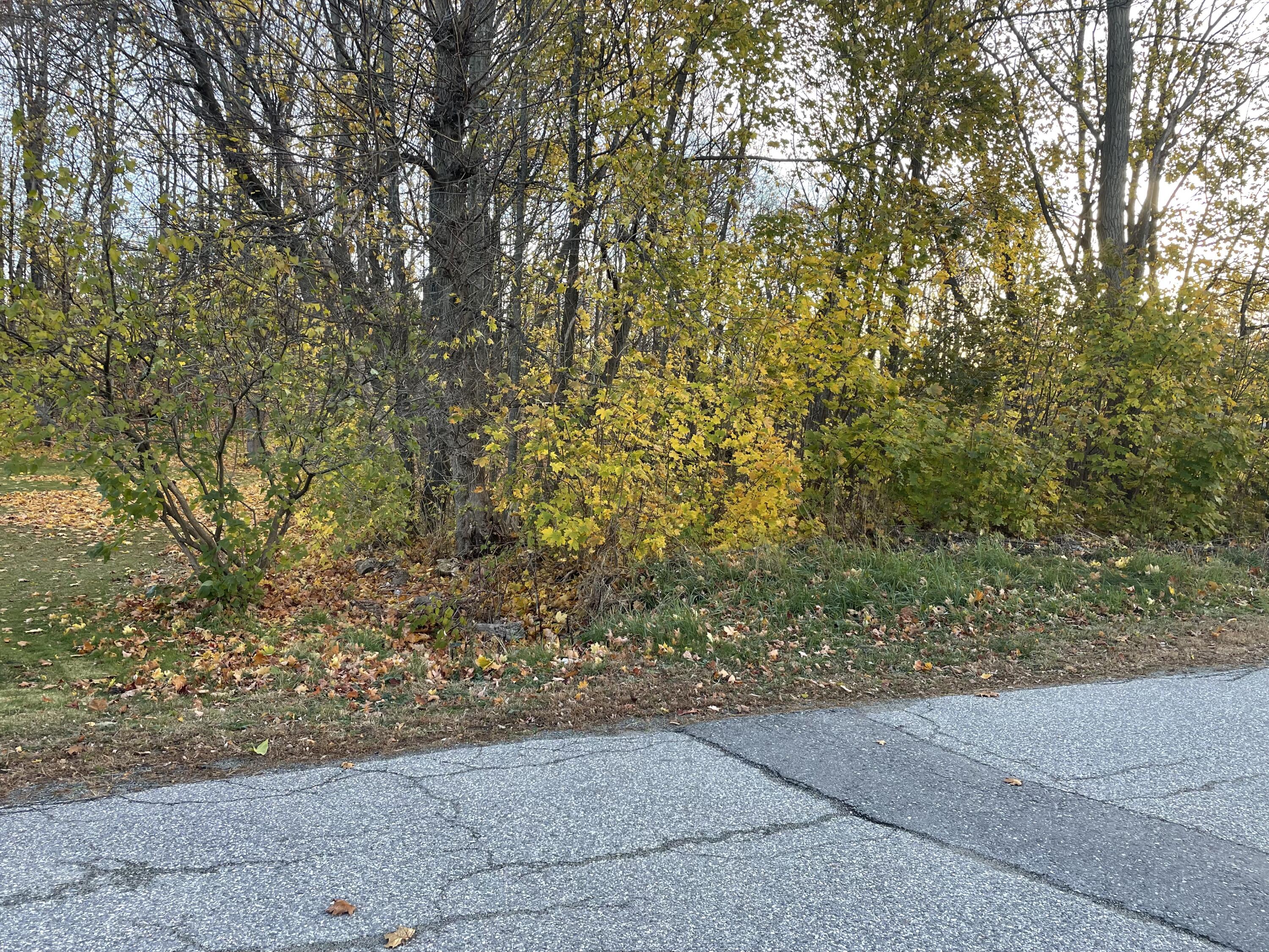 Lot 43 Bates Street Pittsfield ME 04967