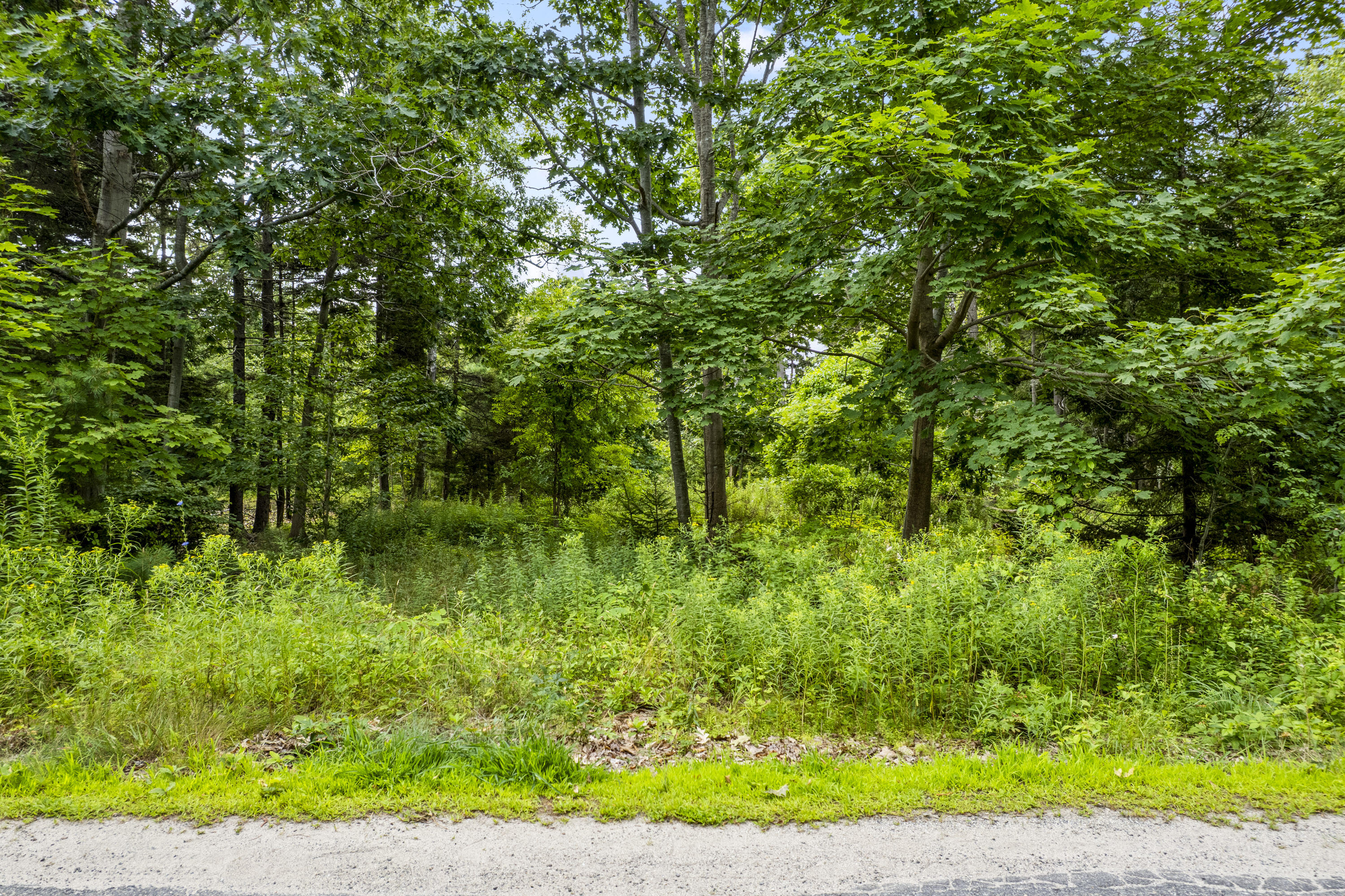 151 Brackett Avenue Portland ME 04108