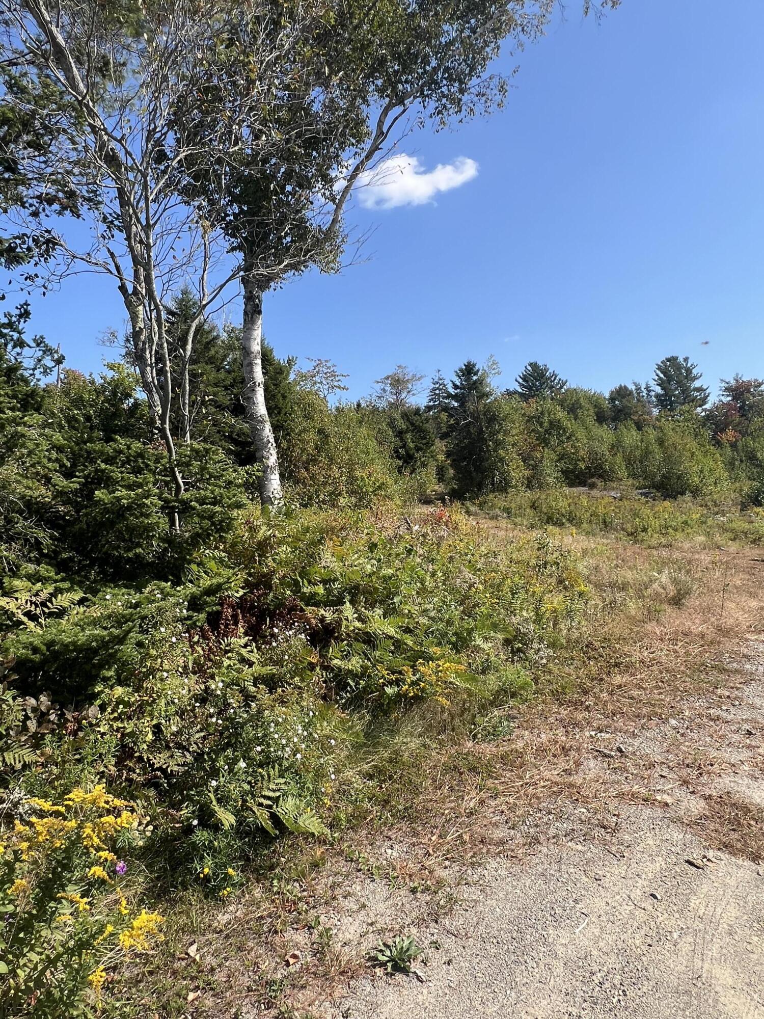 346 Main Street East Machias ME 04630