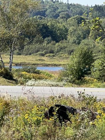 346 Main Street East Machias ME 04630