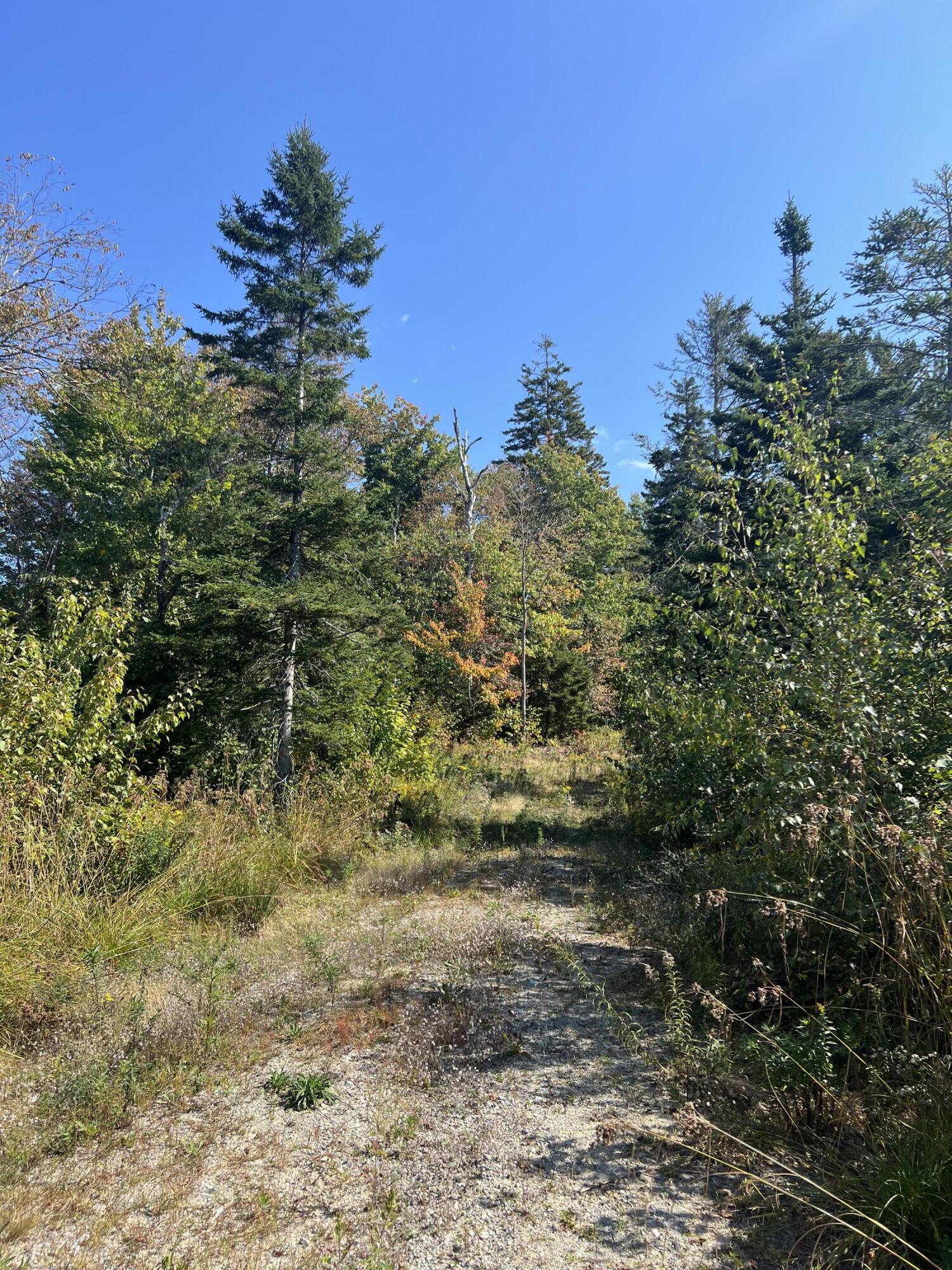 346 Main Street East Machias ME 04630