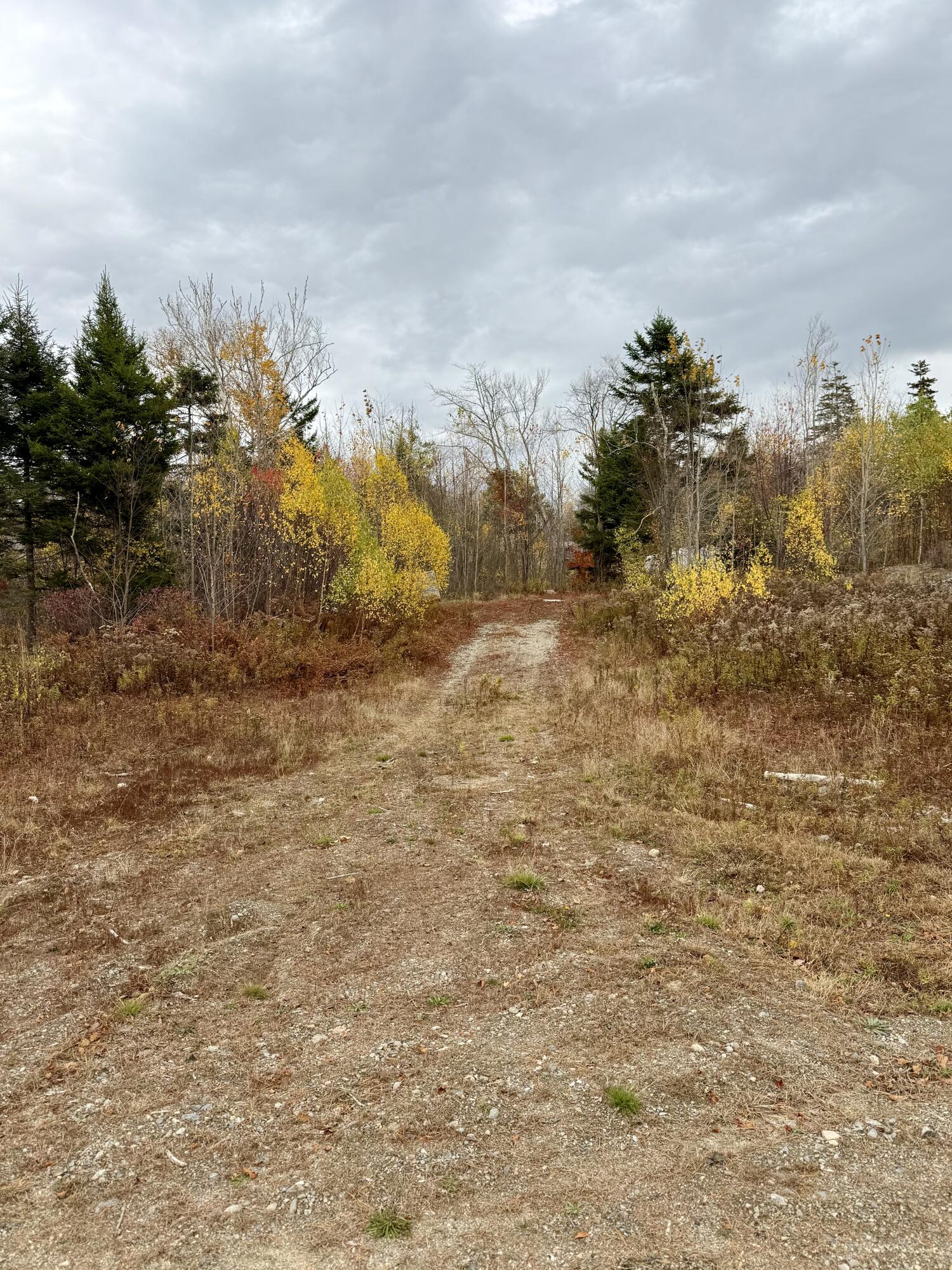 346 Main Street East Machias ME 04630