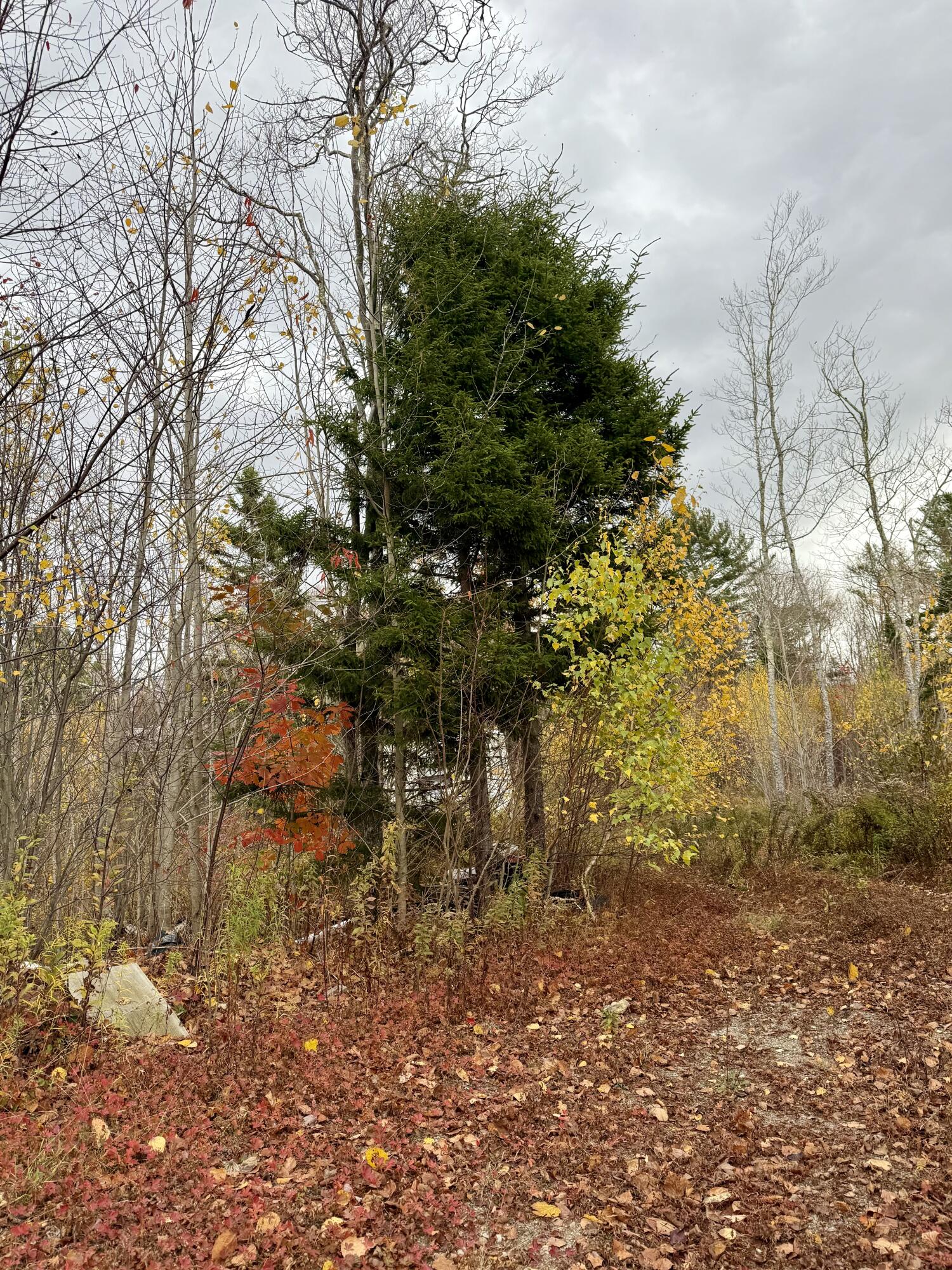 346 Main Street East Machias ME 04630