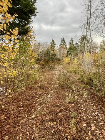 346 Main Street East Machias ME 04630