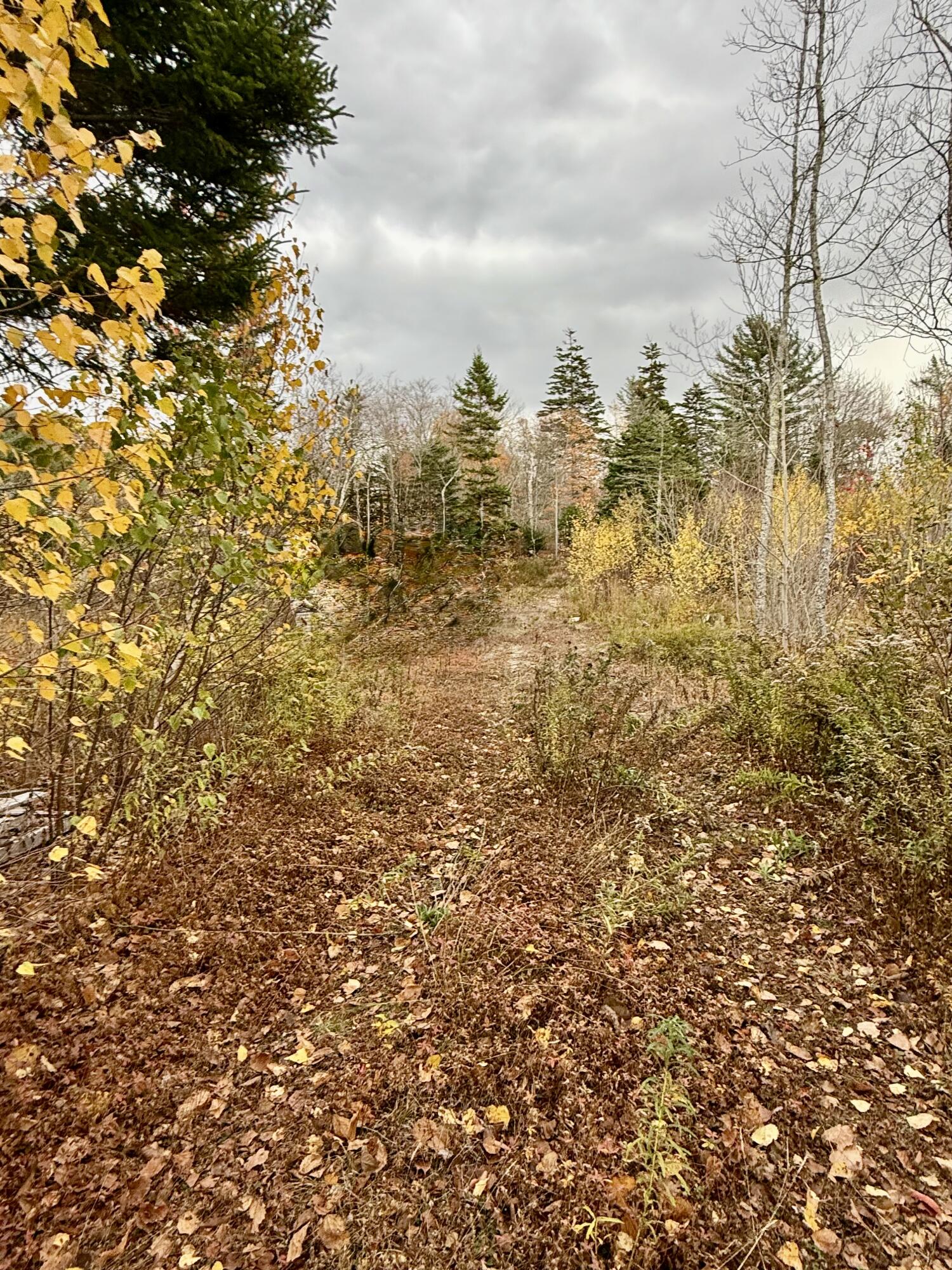 346 Main Street East Machias ME 04630