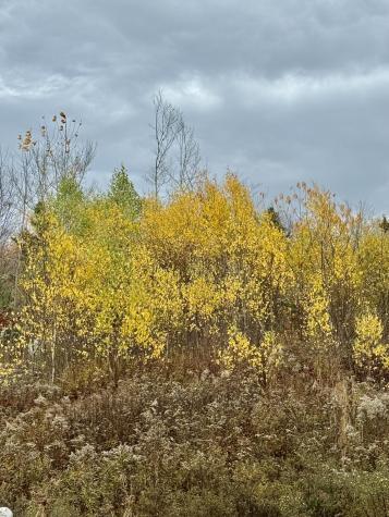 346 Main Street East Machias ME 04630