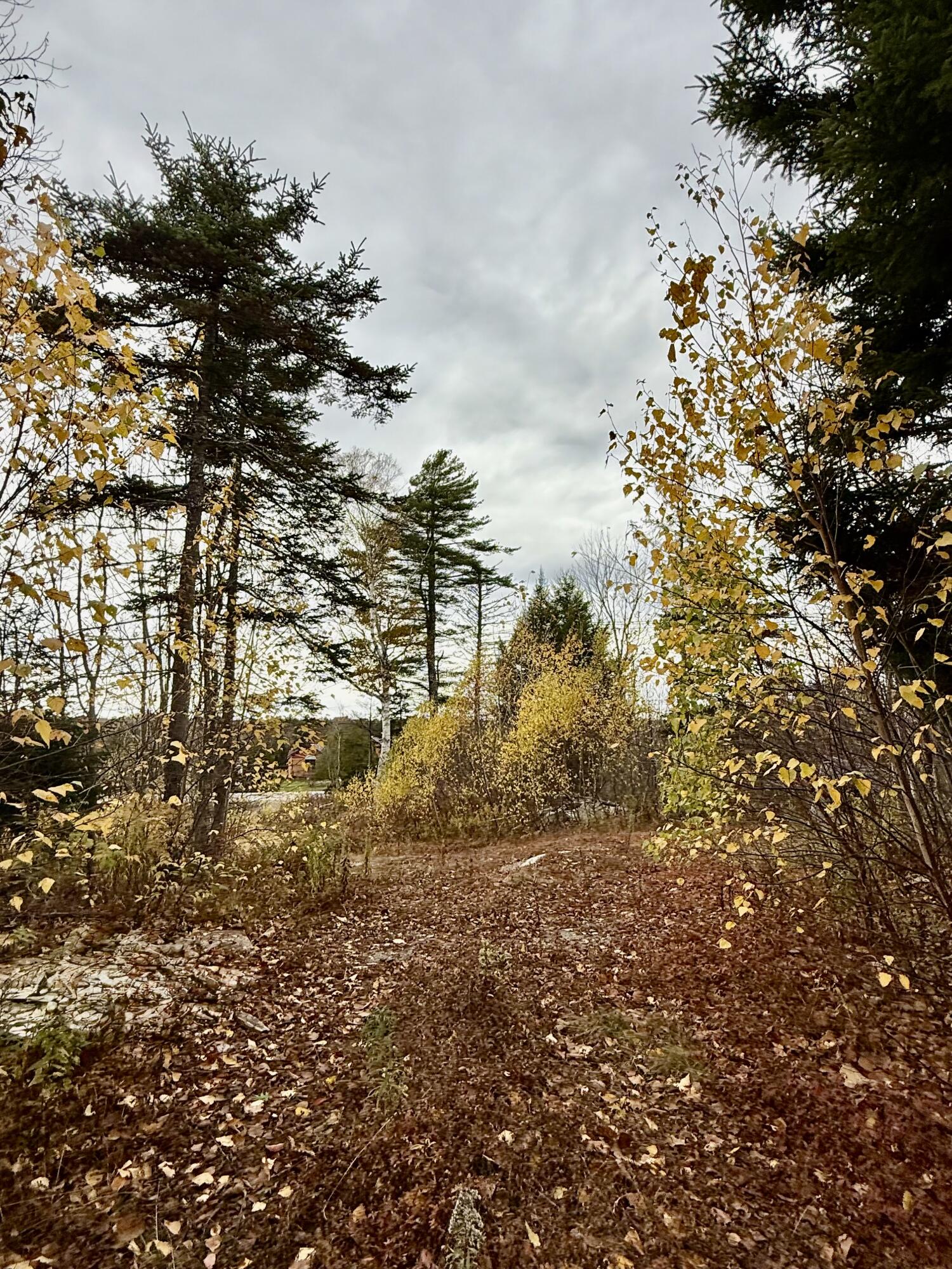 346 Main Street East Machias ME 04630