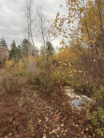 346 Main Street East Machias ME 04630