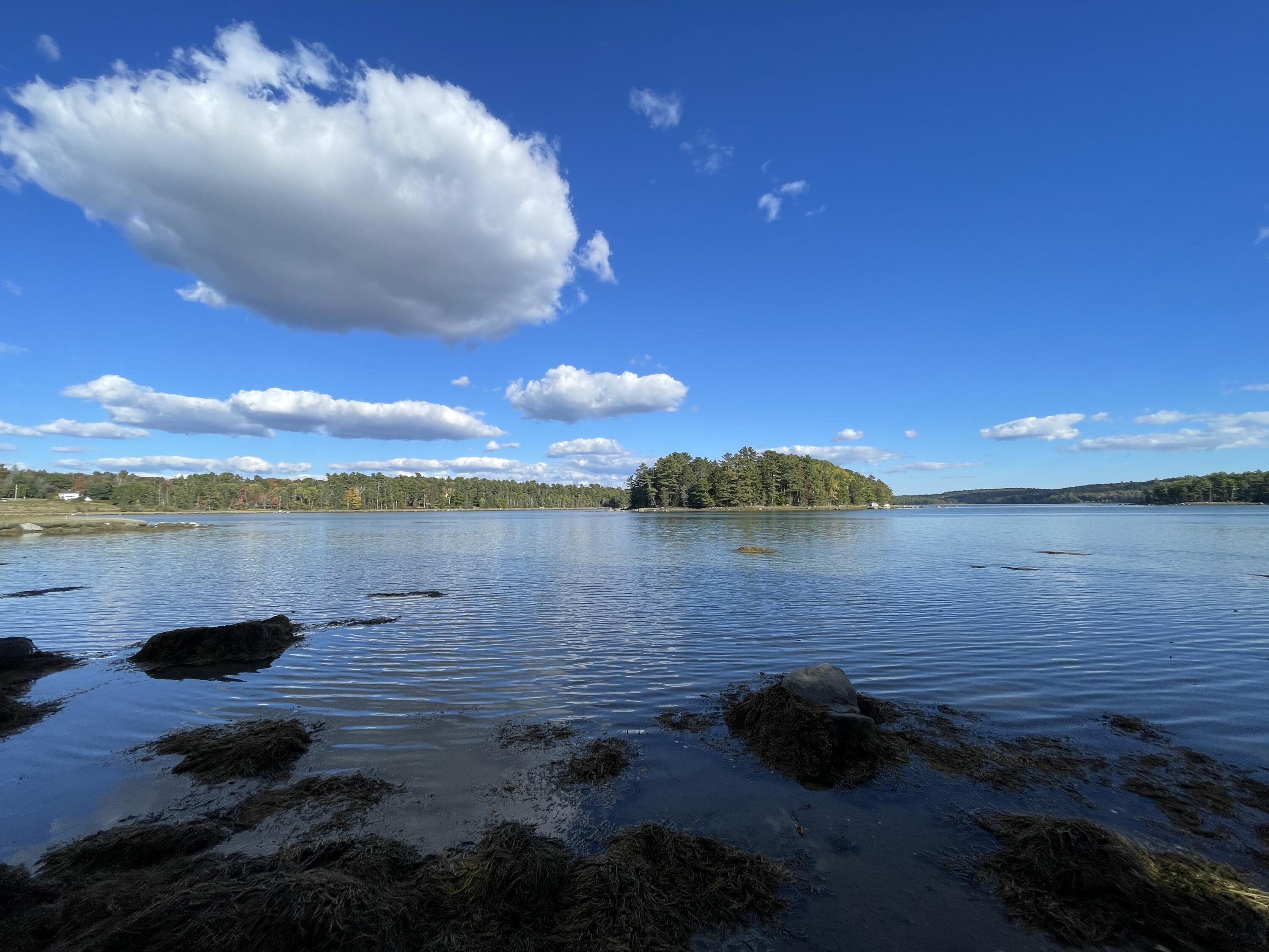 42 Dwelly Point Road Franklin ME 04634