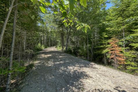 42 Dwelly Point Road Franklin ME 04634