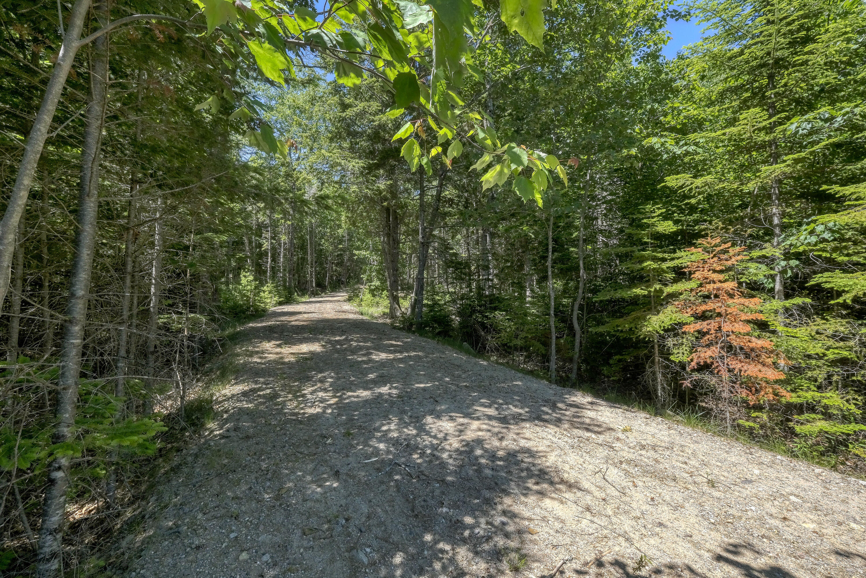 42 Dwelly Point Road Franklin ME 04634