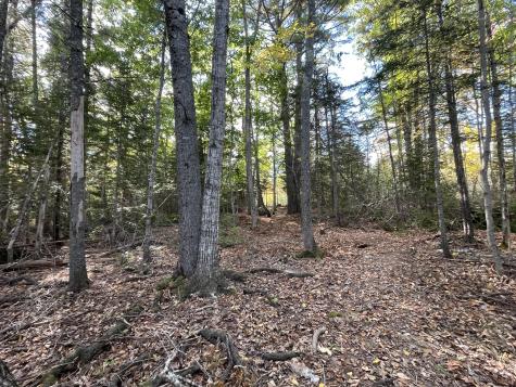 42 Dwelly Point Road Franklin ME 04634