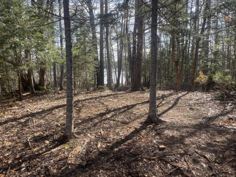 42 Dwelly Point Road Franklin ME 04634