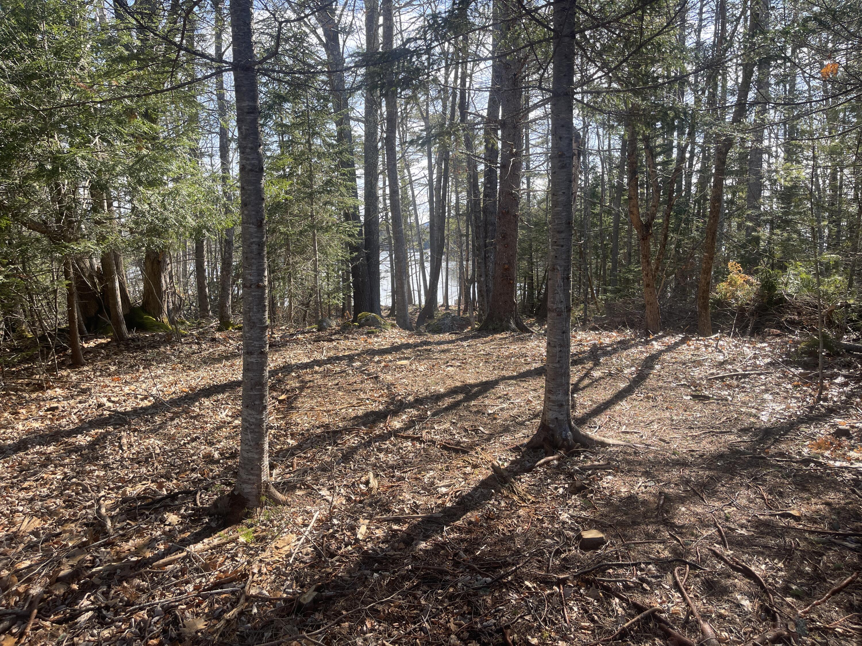 42 Dwelly Point Road Franklin ME 04634