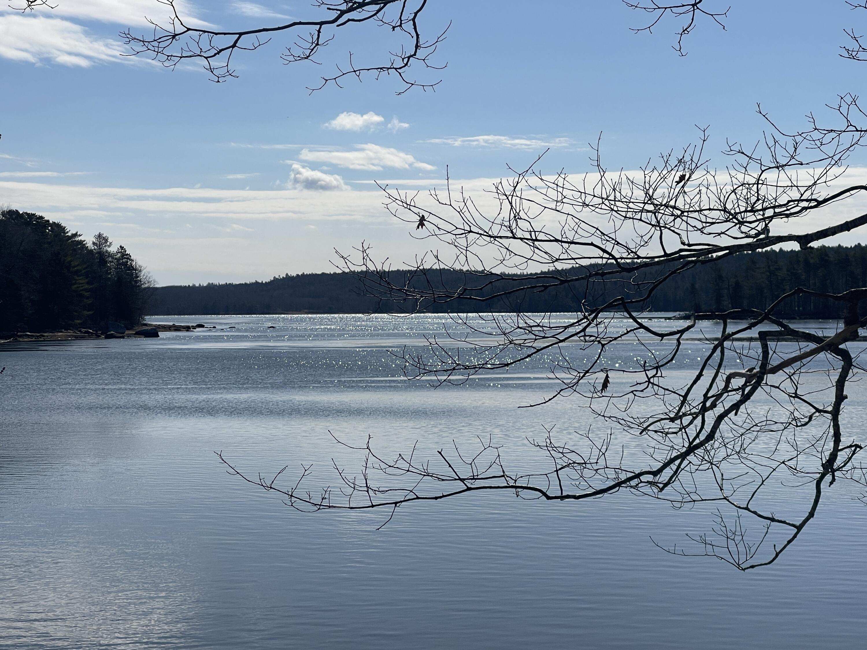 42 Dwelly Point Road Franklin ME 04634