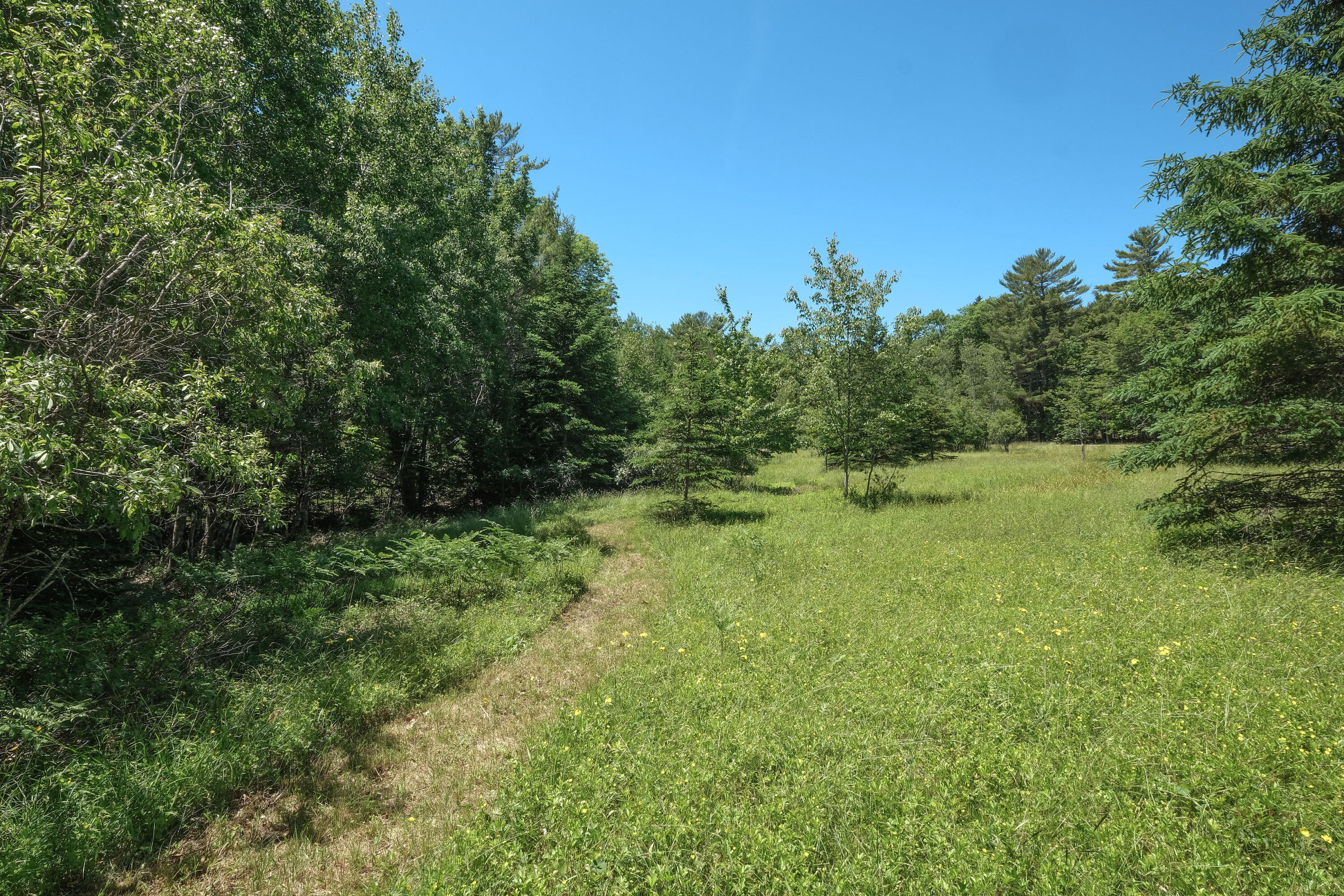 42 Dwelly Point Road Franklin ME 04634