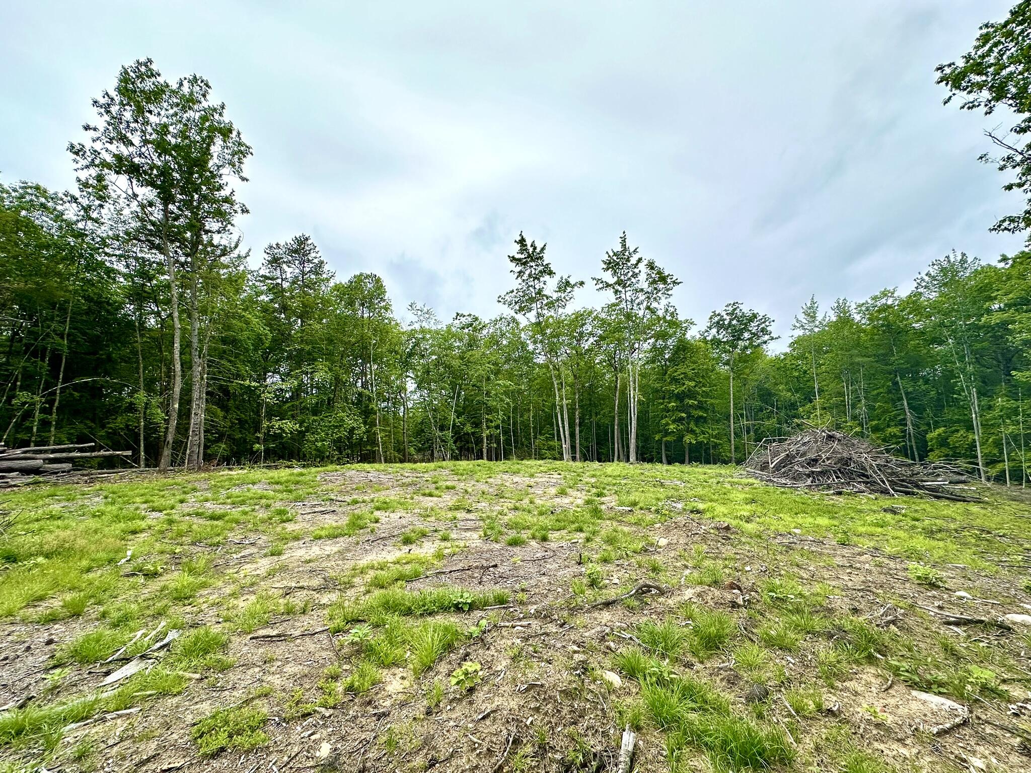 Lot 35a Norton Ridge Road Shapleigh ME 04076
