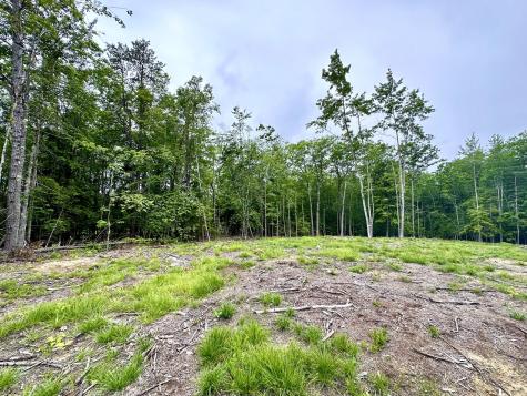 Lot 35a Norton Ridge Road Shapleigh ME 04076