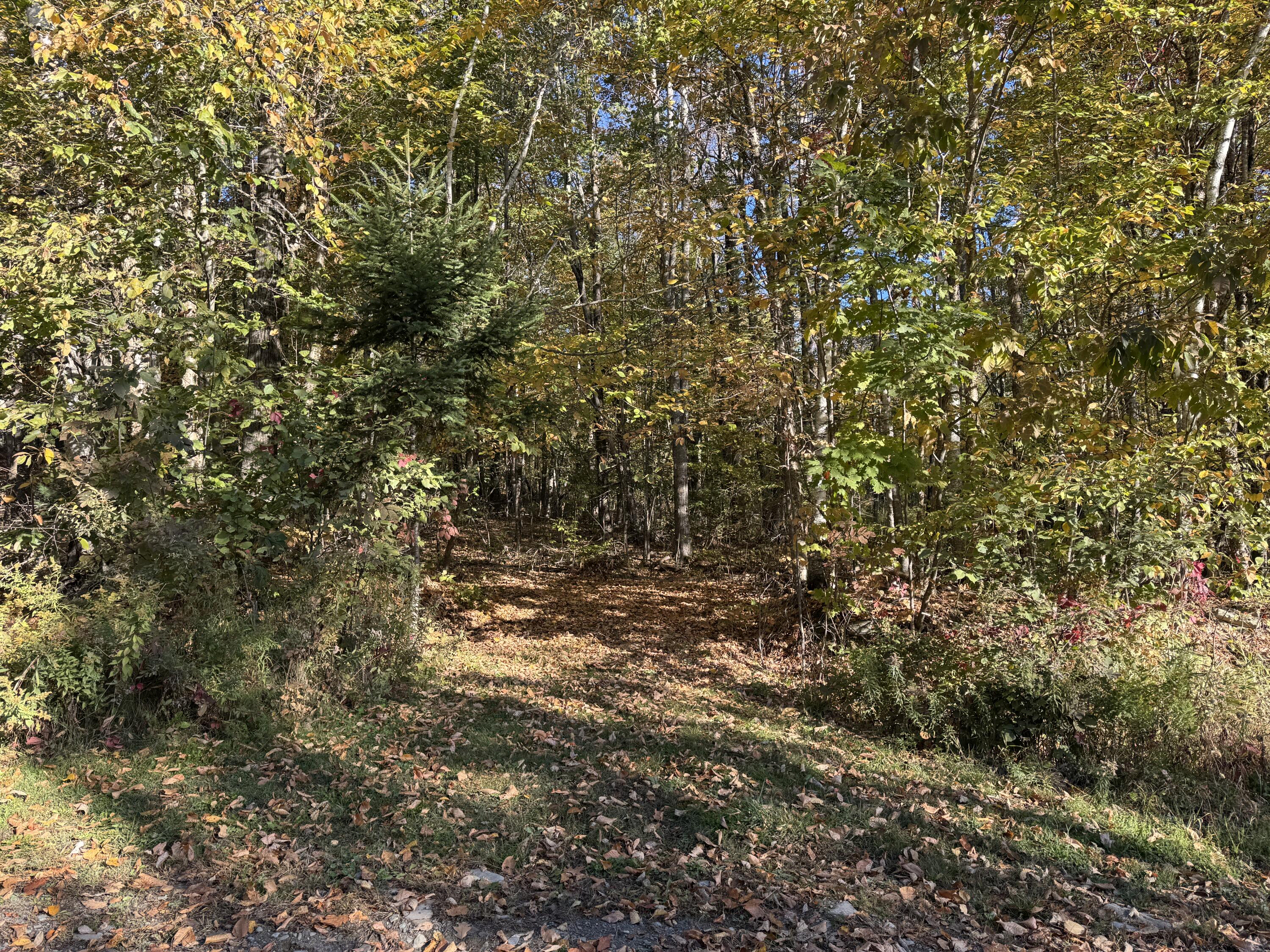 00 Ross Hill Road Saint Albans ME 04971