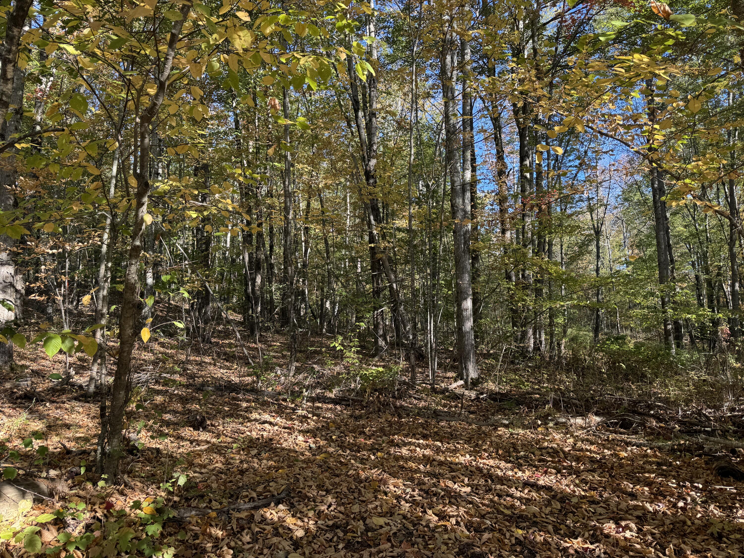 00 Ross Hill Road Saint Albans ME 04971