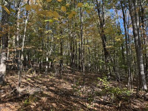 00 Ross Hill Road Saint Albans ME 04971