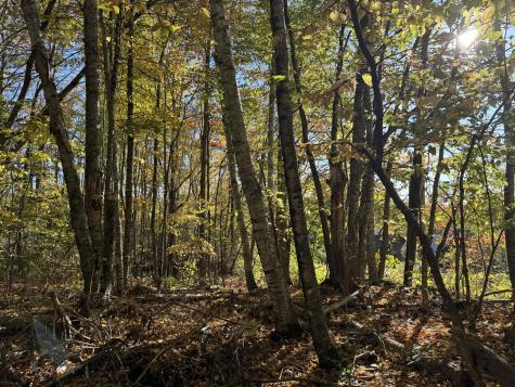 00 Ross Hill Road Saint Albans ME 04971