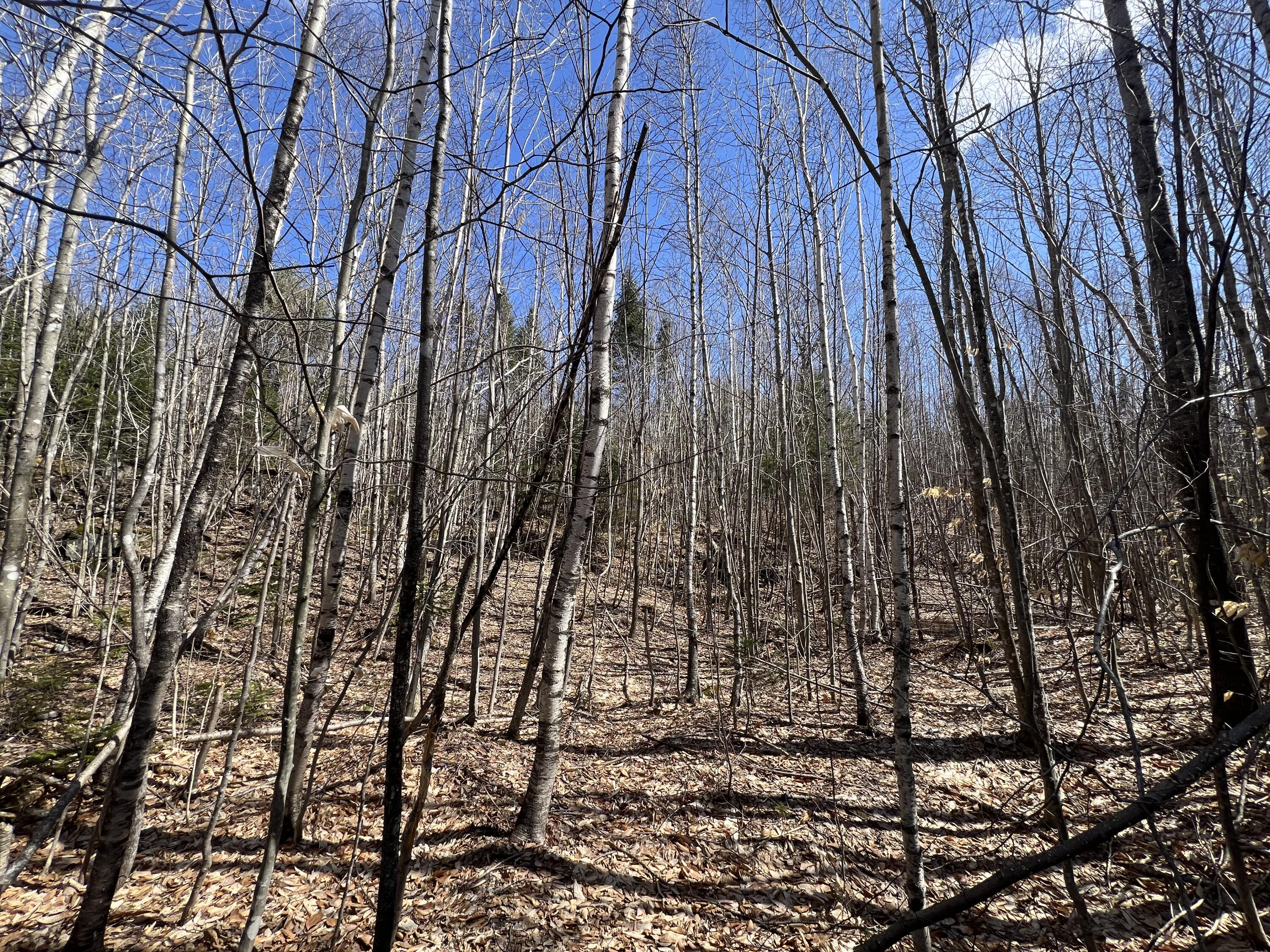 025-026 Between Goodrich N Mahoney Hil Bingham ME 04920