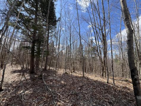 025-026 Between Goodrich N Mahoney Hil Bingham ME 04920