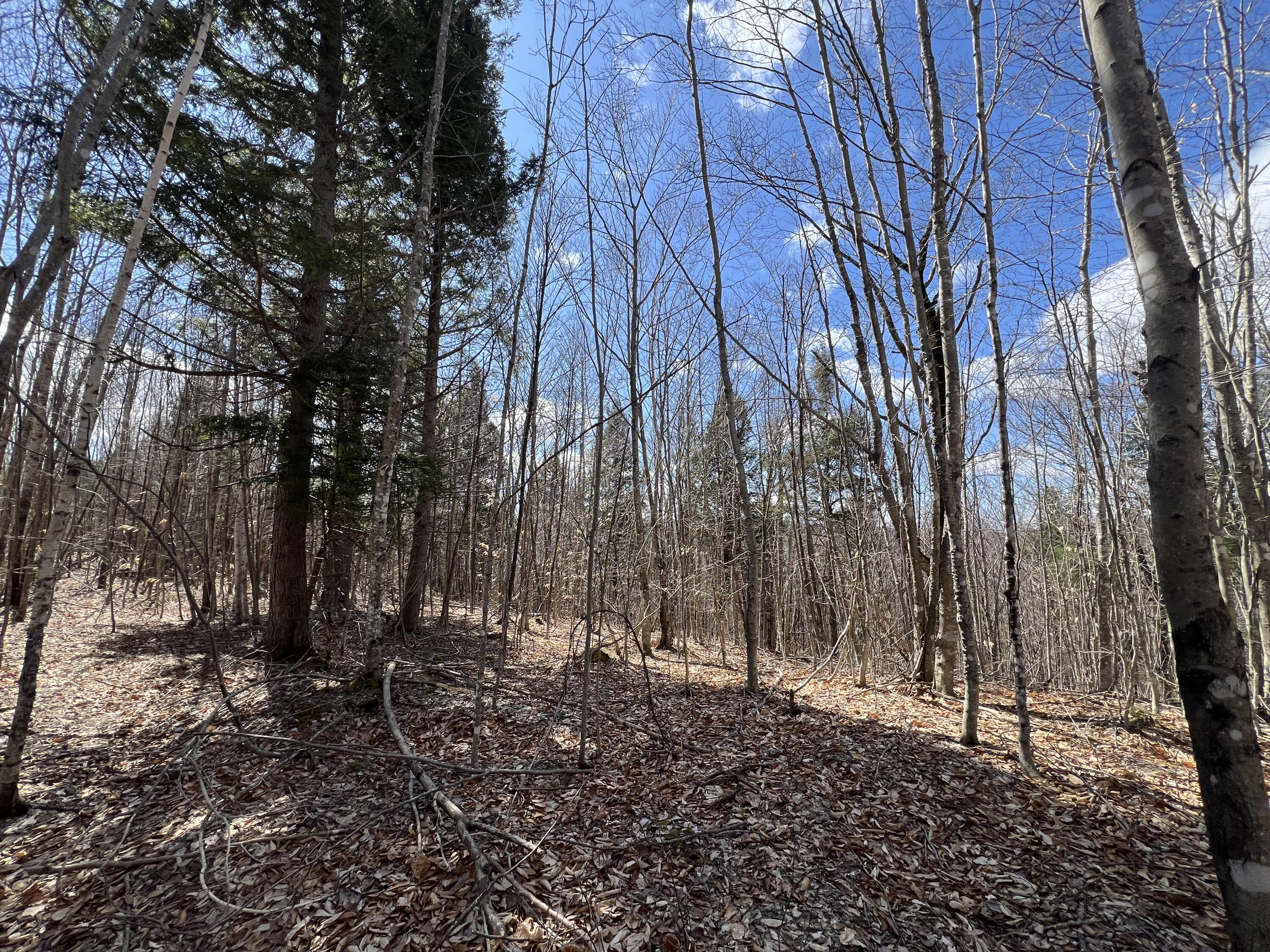 025-026 Between Goodrich N Mahoney Hil Bingham ME 04920